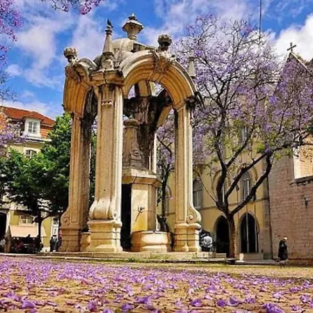 Апартаменты Amalia