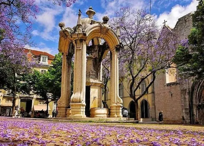 Διαμέρισμα Amalia